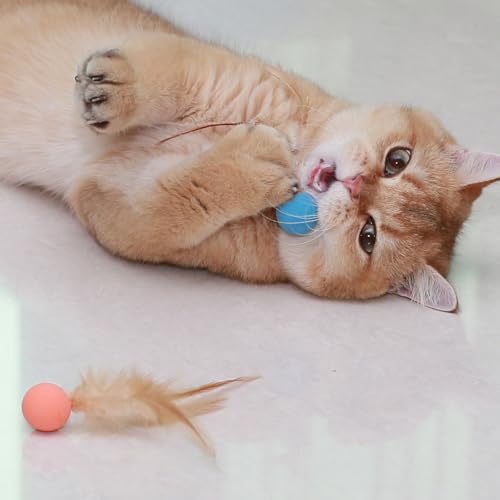 Cat Toy Ball with Feathered Tail for Indoor Cats, 3-Pack