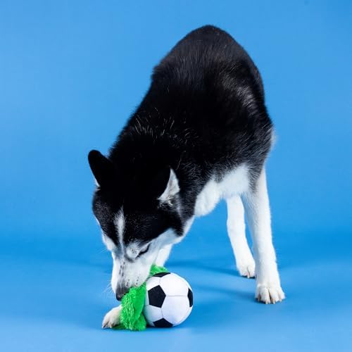Fringe Studio Plush Dog Toy, JUST Kick IT, Pet Shop Collection (314232) (Pack of 2)