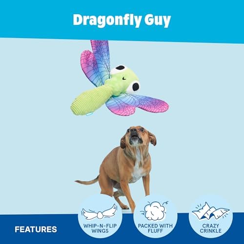 BarkBox Dragonfly Guy Dog Toy - Fun for Dogs