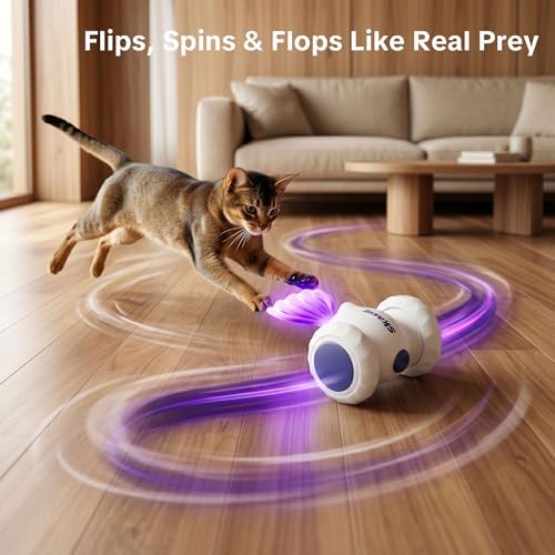 Interactive Cat Toys, Puppy Dog Toys