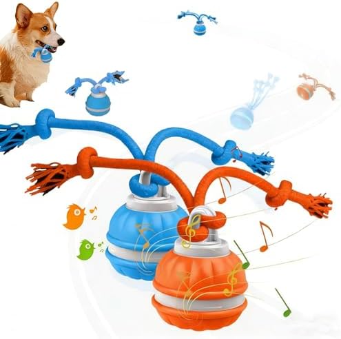 2Pack Interactive Dog Toys for Small Dogs – Peppy Pet Ball & Chase Buddy Dog Toy Active Rolling Puppy Toys to Keep Them Busy, Daily Training Interactive Puppy Toys