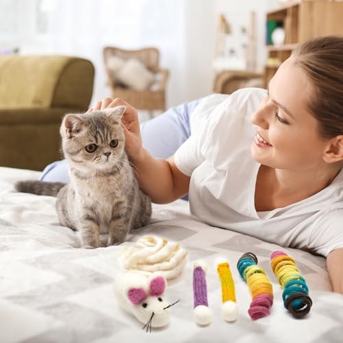 Glaciart One Indoor Catnip Cat Toy Pack - 5pc | Kitty Toys Include Wool Springs, Swabs & Mouse | for Activity, Exercise & Play | Filled w/Organic Catnip to Excite/Calm Pet | Great Gift Idea