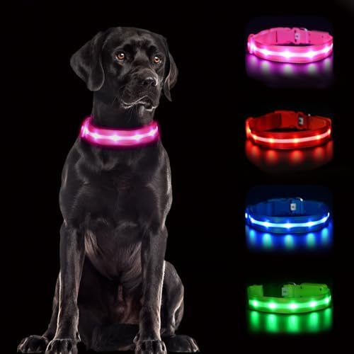 CHUKCHI LED Dog Collar Rechargeable,Waterproof Flashing Collar,Light Up Glow Collar, Adjustable Soft Safety Light Up for Small Medium Large Dogs Walking Camping at Night (Pink-S)