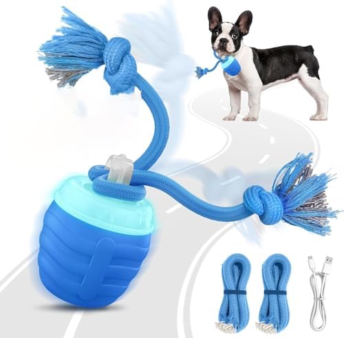 Interactive Dog Toys Chase Busy Buddy Dog Ball