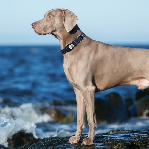 Dog Collar with Tracker Holder and QR Code ID, Waterproof Bluetooth Tracker Case, Reflective Padded Nylon for Small Medium Large Dogs