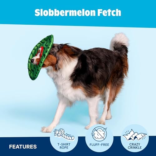 BarkBox Slobbermelon Fetch Flying Disc Dog Toy - for Dogs