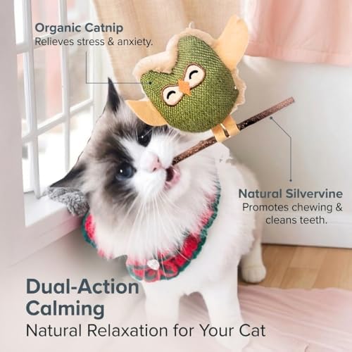 Catnip Silvervine Cat Toys, Owl Plush for Indoor Cats and Kittens, 4 Pack