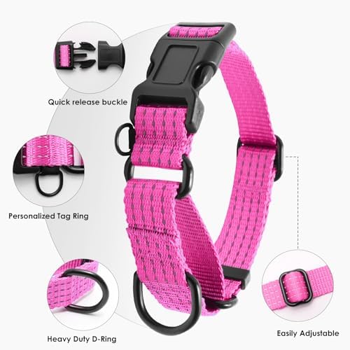 Martingale Dog Collar, Reflective No Pull with Buckle, Pink, M