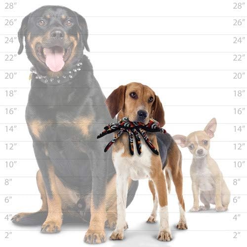 TUFFY® : 2 Pack Tarantula Dog Toy: Ultra Durable Plush Toy with Multiple Layers & Reinforced Seams, Washable and Floats, Original Construction