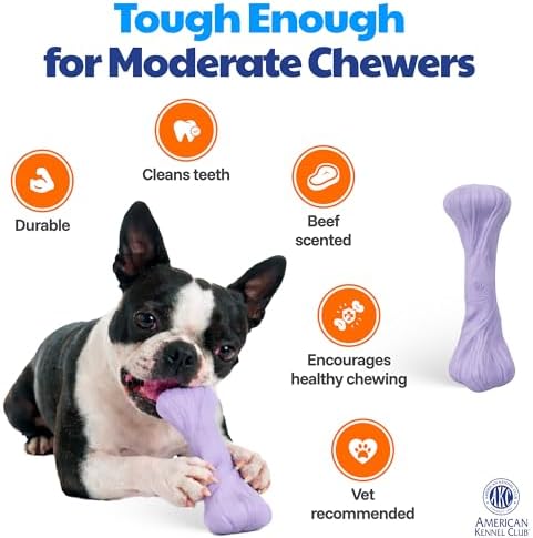 American Kennel Club Training Dog Chew Toy, Large PP Bone Dog Toy, Durable Dog Toy for Moderate Chewers, Beef Scented for Long-Lasting Engagement, Supports Dental Health, Purple