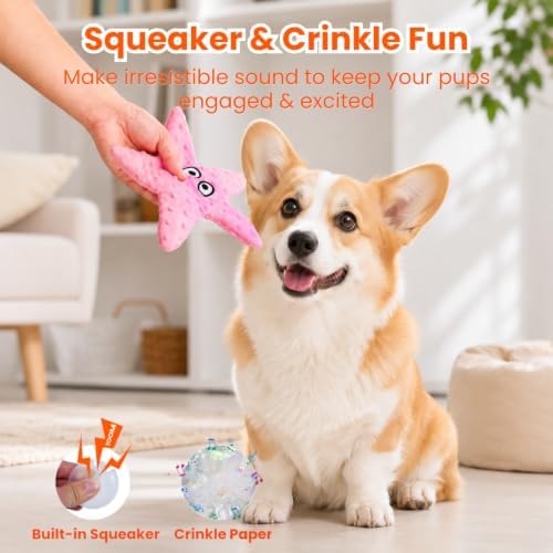 HGB No Stuffing Crinkle Dog Squeak Toys with Treat Pocket