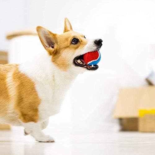 Gigwi Squeaky Dog Tennis Balls, 3 Pack Elastic Interactive Toy for Dogs
