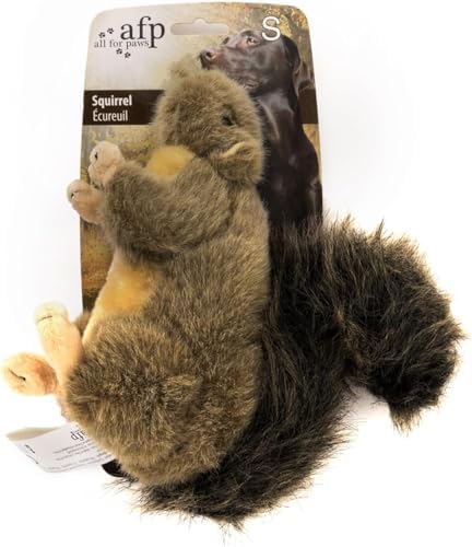 ALL FOR PAWS Squeaky Dog Toys, Plush Squirrel Dog Toy, Stuffed Animal Dog Toys for Small Medium Large Dogs, Soft Puppy Chew Toy with Squeaker