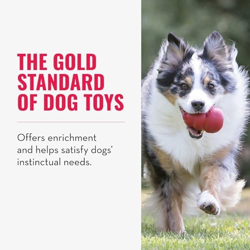 KONG Classic Stuffable Toy, Natural Rubber, Extra Large Dogs (Pack of 2) | Treat-Filling Fetch & Chew Toy with Erratic Bounce, Made from KONG Durable Natural Rubber for Extended Playtime