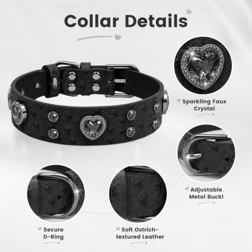 Rhinestone Dog Collar with QR ID Tag, Ostrich-Embossed, Black, L | Crystal Dog Collar with Ostrich-Embossed Texture, Adjustable Waterproof Fit and QR Scan Pet ID for Stylish Daily Wear