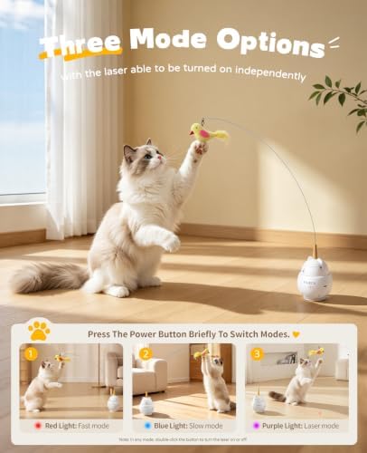 ROJECO Interactive Cat Toys,2 in 1 Automatic Cat Toy with Flying Bird