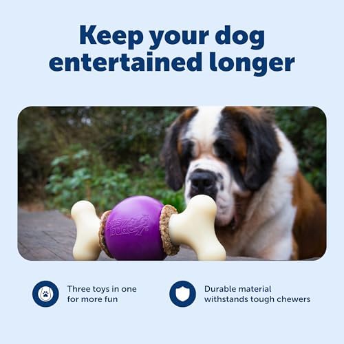 PetSafe Busy Buddy Bouncy Bone Treat Holding Dog Chew Toy, Medium