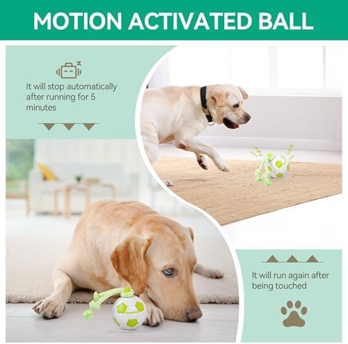 ALL FOR PAWS Interactive Dog Toys, Smart Dog Ball with Durable Rope, Automatic Moving and Rolling Ball Toys for Small Medium Large Dogs, Motion-Activated and USB Rechargeable