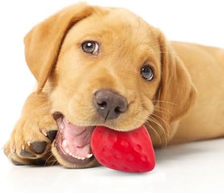 Jeffers Pet Natural Rubber Dog Chew Toy – Squeaky Strawberry, Small - Vanilla Scent, Durable, Non-Toxic, Dishwasher Safe, Interactive Fetch & Tug Toy - Perfect for Training Medium Chewers