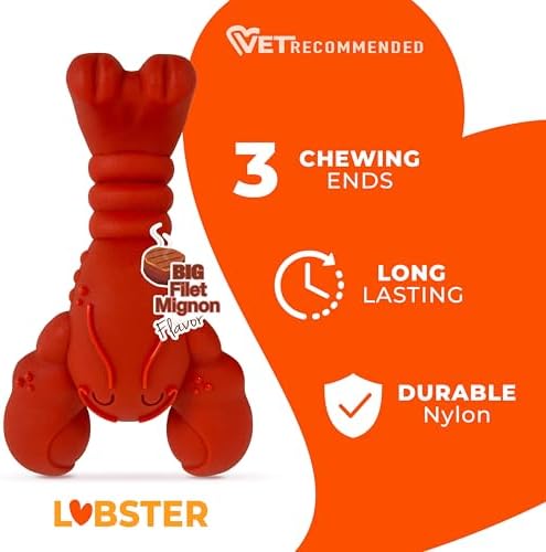 Nylabone Lobster Power Chew Toy for Dogs, Dog Toys for Aggressive Chewers