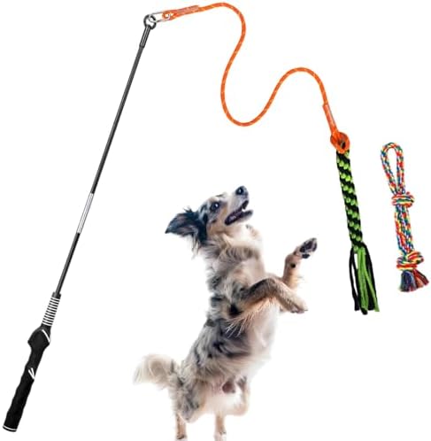 Flirt Pole for Dogs