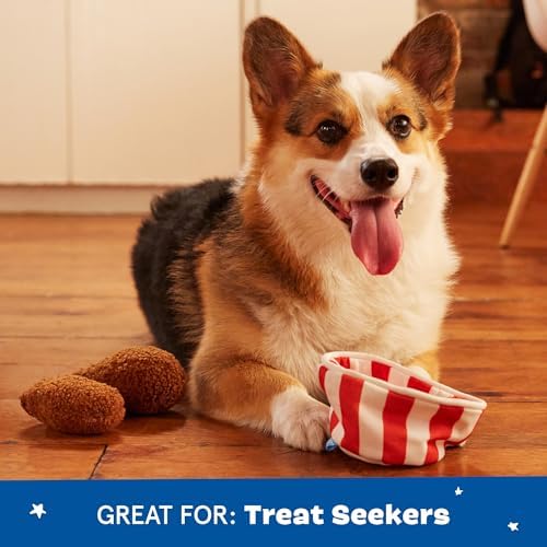 BarkBox Bucket O' Fried Licken 2-in-1 Interactive Plush Dog Toy
