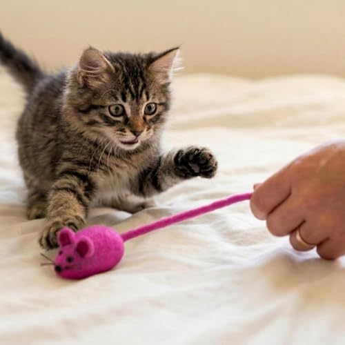 Glaciart One Felt Mouse Cat Toy – Soft Fuzzy Enrichment 100% Natural Wool - Interactive Catnip Play Cat Toy Set - Safe for Pets, Non-AZO Colored Dyes - 42” Long