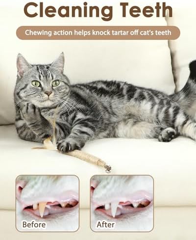 Tocirelo Silvervine Sticks with Feathers for Indoor Cats, Kitten Chew Toys