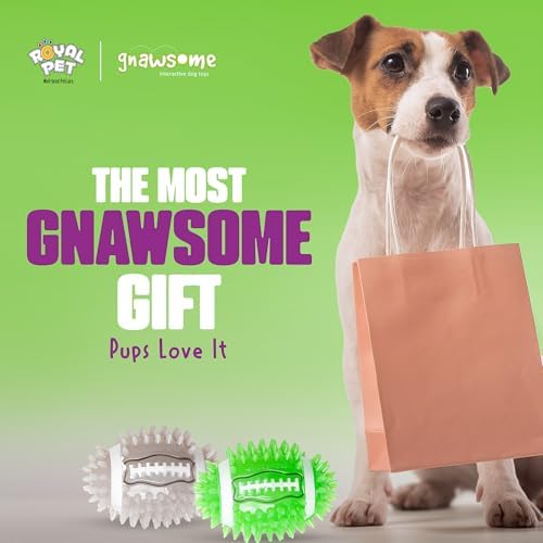 Gnawsome Dog Toys - 3.5" Spiky Squeak & Light Football - Small - Dental & Gum Wellness - Stimulating Fun - Hidden Squeaker - Durable for Heavy Chewers - 100% BPA-Free - Assorted Colors