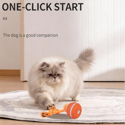 2 Pcs Interactive Dog Toy, Automatic Rolling Ball with Bird Sound, Pet Toys