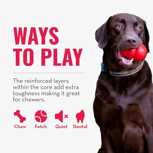 KONG CoreStrength Bow Tie Bone, Dental Chew Toy, for Medium/Large Dogs
