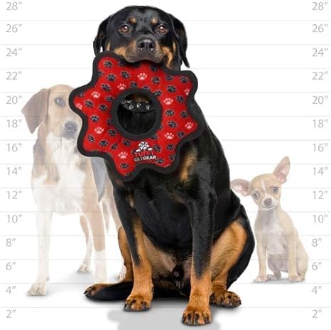 TUFFY® 5 Pack Starfish, Squid, Pig, Rabbit and Gear Ring Plush Dog Toys