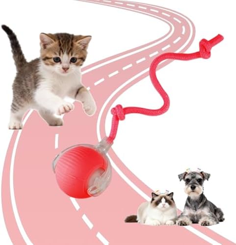 KumCinn Interactive Dog Ball for Small Medium Dogs, Automatic Self Moving Cat Toys Ball for Indoor Cats, 360° Rolling Electric Pet Ball, Fast Smart Motion Activated Toy (Red)