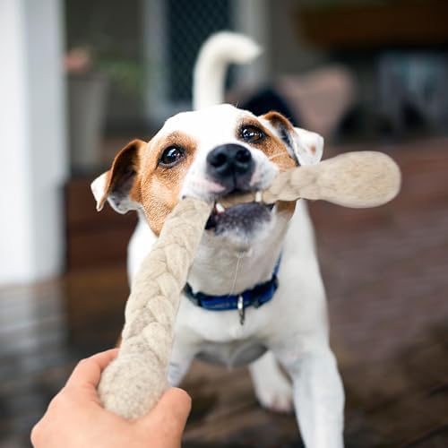 Glaciart One 15-Inch Dog Wool Rope Toy - Durable Chew Toys for Small and Medium Breeds - Natural, Plastic-Free, Non-Allergic - Long-Lasting Play and Activity Ball for Dogs, Indoors and Outdoors