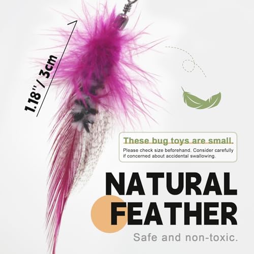 SONGWAY Cat Feather Toy Refills - 12 Pieces Insect Cat Toys with Feather, Teaser Wand Replacement, Interactive Toys for Indoor Cats