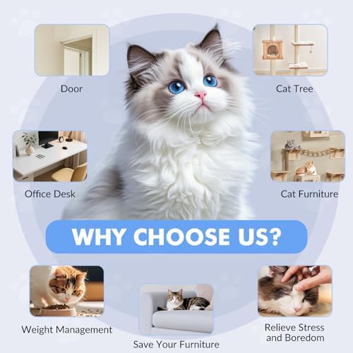 Automatic Hanging Cat Toy with Flying Bird,Interactive, Light Blue