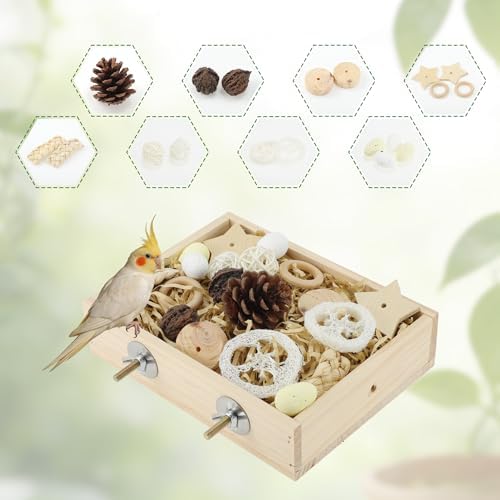 Bird Foraging Toys Box, Wooden Foraging for Bird, Wood Color M