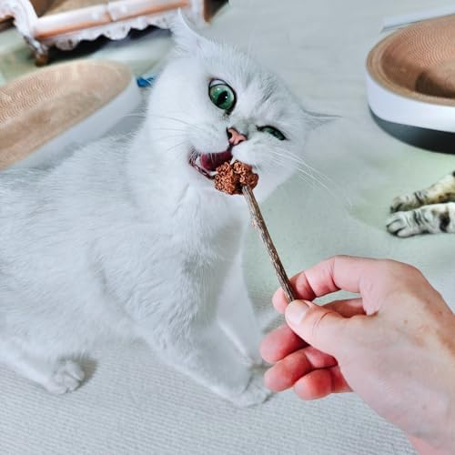 miwoowim 4PCS Silvervine Cat Sticks & Gall Fruit, Natural Dental Chew Toy