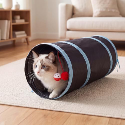 20 Pcs Interactive Cat Toys for Indoor Cats, Rechargeable Kitten Toys
