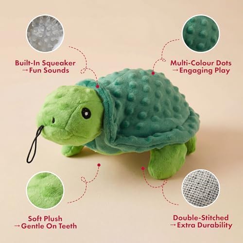 petlou Sqeaky Plush Durable Dog Toys with Multi-Colour,Dotty Friends for Dog (12 Inch Dotty Friends Turtle)