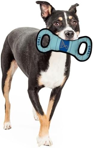 Pets First NHL St. Louis Blues Ice Hockey Rink PET Toy with Inner Squeaker. A Tough Toy for Dogs & Cats with Exciting Hockey Graphics, Gorgeous Team Logo & Double Stitch Trims