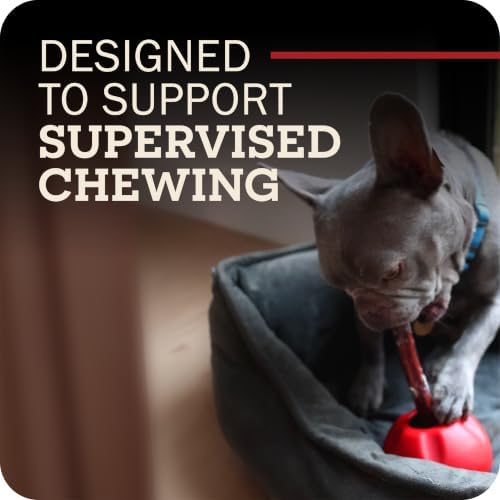 Redbarn Grab-a-Bull Chew and Bully Stick Holder and Wobbler Toy for Dogs