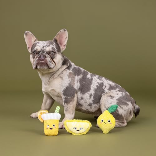 Fringe Studio Plush Dog Toy, 3 Pieces Set, Sour You Doing?, Pet Shop Collection (662169)