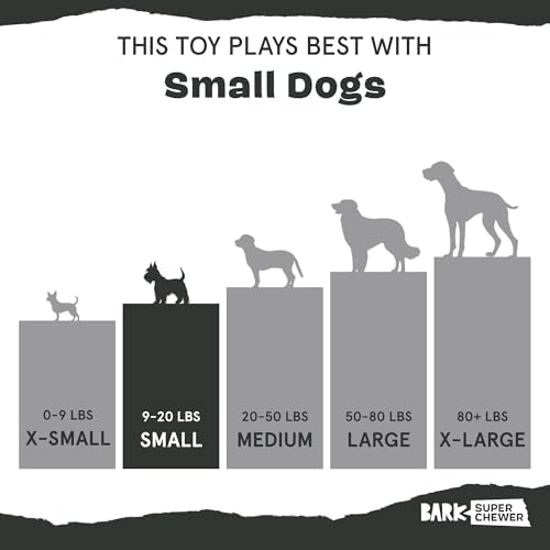 BarkBox Torbert The Troll Dog Toy - for Small Dogs