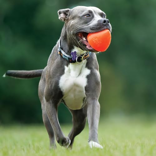 Ruff Dawg Dawg-X – Cone-Shaped Dog Toy – Bouncy, Floating Fetch Toy for Aggressive Chewers – Ideal for Interactive Outdoor Play, Exercise & Teething Relief