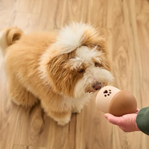 SPOT Treat Tumbler Mushroom – Freezable & Fillable Treat Dispensing Dog Toy for Small & Medium Dogs, Silicone, Easy to Clean, Interactive, Holds Small Kibble & Soft Snacks, 4.5 in
