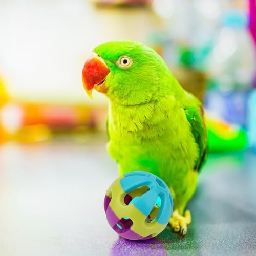 Hypeety Parrot Ball Toy Plastic Colorful Bird Chew Ball with Bells for Cage