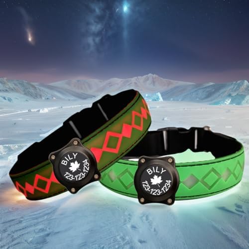 Personalized Flashing Night Dog Collar with Waterproof airtag Holder for Black Dog Night Walking (Green, S(7.87-11.8"))
