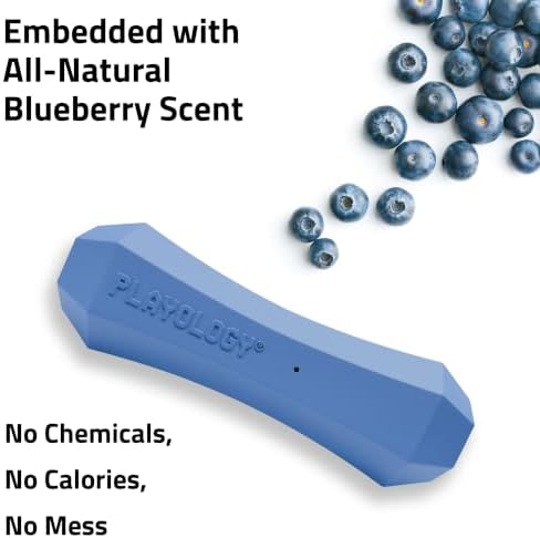 Playology Squeaky Chew Stick - Scented Dog Toy - Jumbo, Blueberry Scent