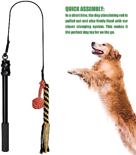 Flirt Pole for Dogs,Collapsible Extendable Dog Teaser Wand with Plush Squeaky Toy、Chase Rope, Ball Toy, Agility Training Equipment Playing Exercise Tools for Small Medium Large Dogs
